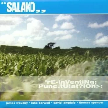 Re‐Inventing Punctuation by Salako - album cover