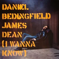 Daniel Bedingfield artist image