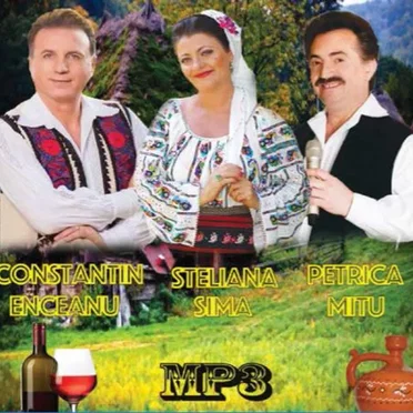 Constantin Enceanu, Steliana Sima și Petrică Mîțu