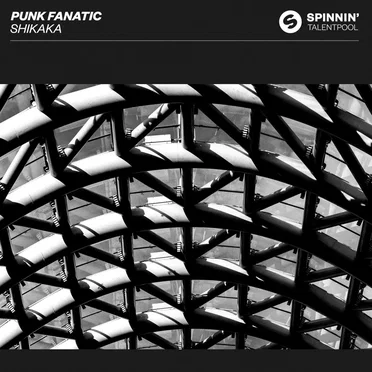 Shikaka by Punk Fanatic - album cover