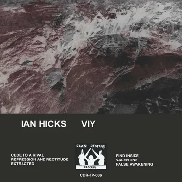 VIY by Ian Hicks - album cover