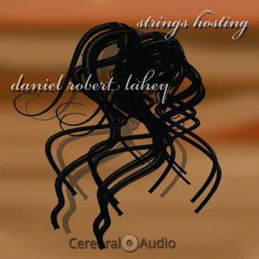 Strings Hosting by Daniel Robert Lahey - album cover