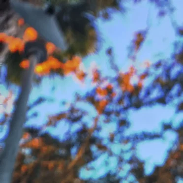 _ ✧ *:･ﾟ✧ _