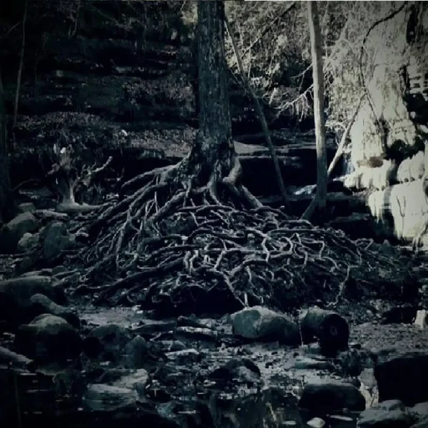 State of Desolation