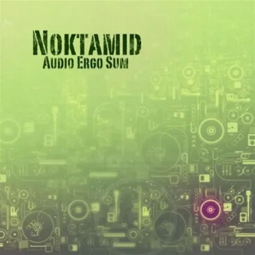 Audio ergo sum by Noktamid - album cover