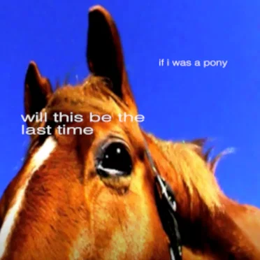 will this be the last time by if i was a pony - album cover
