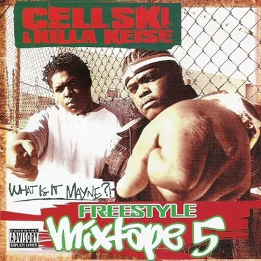 Freestyle Mixtape, volume 5 : What Is It Mayne? by Cellski - album cover