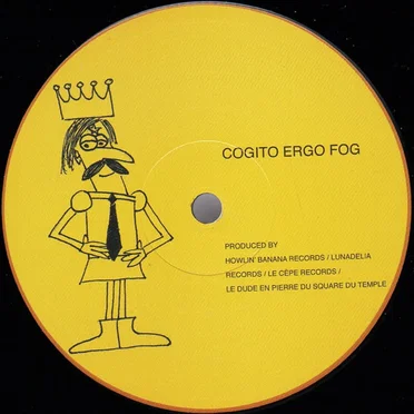 Cogito Ergo Fog