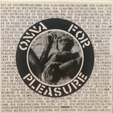 Onna for Pleasure by Skitkids - album cover
