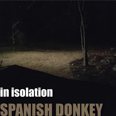 The Spanish Donkey