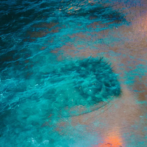 Voices of the Sea