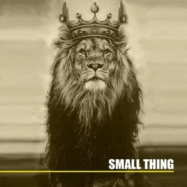 Small Thing