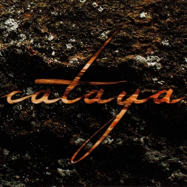 Sukzession by Cataya - album cover