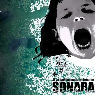 I’ve Had Too Much to Breathe by Sonara - album cover