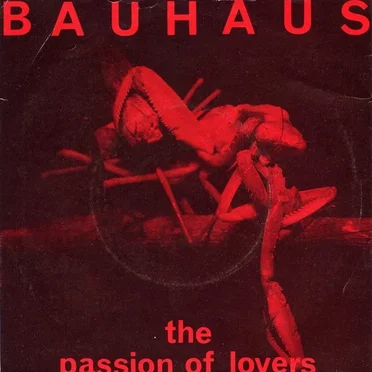 The Passion of Lovers