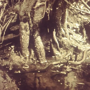 There Was No One There