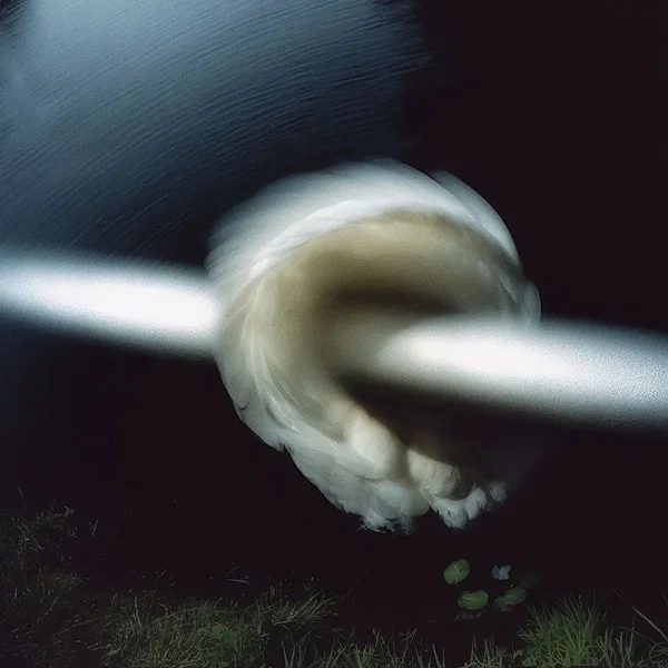 Aperture