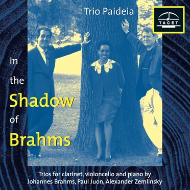 In the Shadow of Brahms