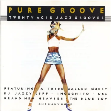 Pure Groove: Twenty Acid Jazz Grooves by Various Artists - album cover