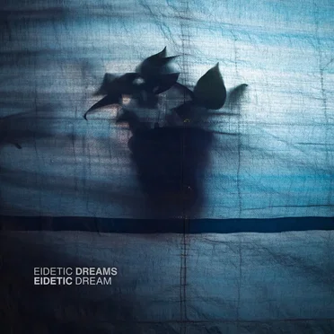 Eidetic Dream by Eidetic Dreams - album cover