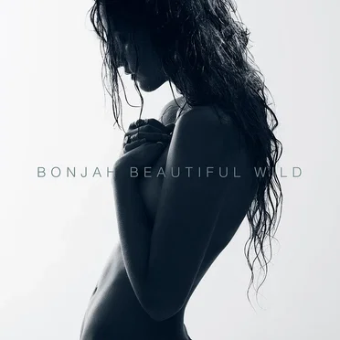 Beautiful Wild by Bonjah - album cover
