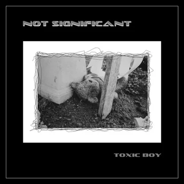 Toxic Boy by Not Significant - album cover