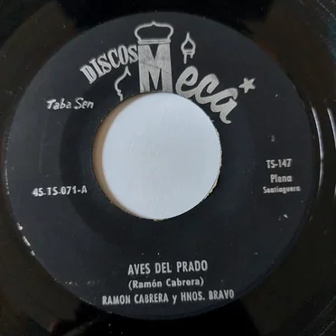 Aves del prado / Juanita by Ramón Cabrera - album cover