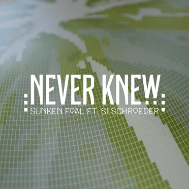 Never Knew
