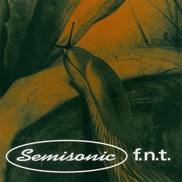 F.N.T.