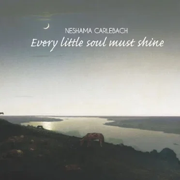 Every Little Soul Must Shine