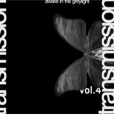 Awake in the Greylight 4 by Various Artists - album cover