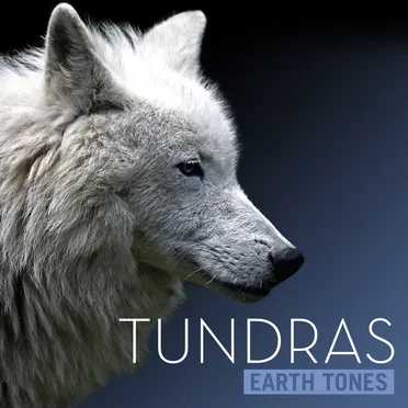 Tundras
