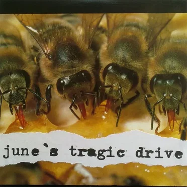 June's Tragic Drive by June's Tragic Drive - album cover