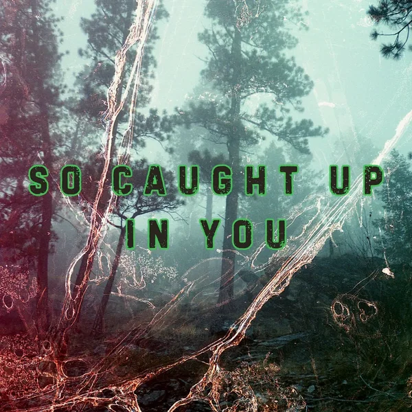 So Caught Up in You