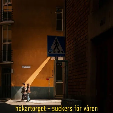 Suckers för våren