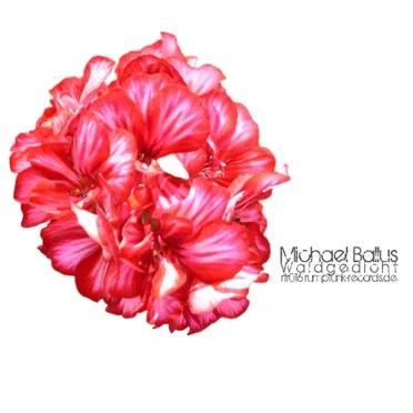 Waldgedicht EP by Michael Ballus - album cover