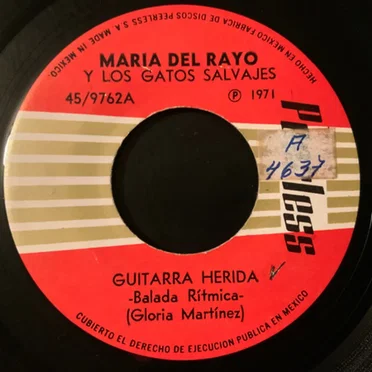 Guitarra herida / Al fin tengo tu amor