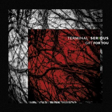 Gift for You by Terminal Serious - album cover