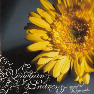 Moonglow / This Bitter Earth