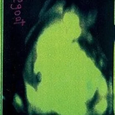 Girls Who Love Horses by Yr Scapegoat - album cover