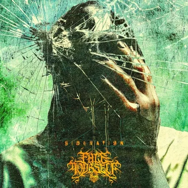 Sideration by Face Yourself - album cover