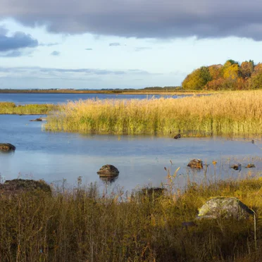 Autumn in the Archipelago by Elin Magnusson - album cover