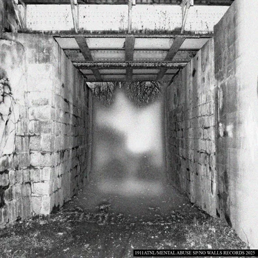 Mental Abuse by 1911ATNL - album cover