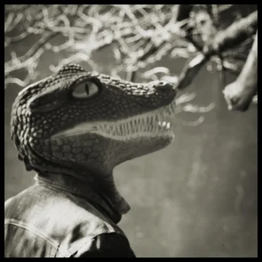 Mighty Crocodile / Two Days