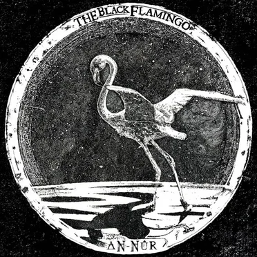 AN-NÛR by The Black Flamingo - album cover