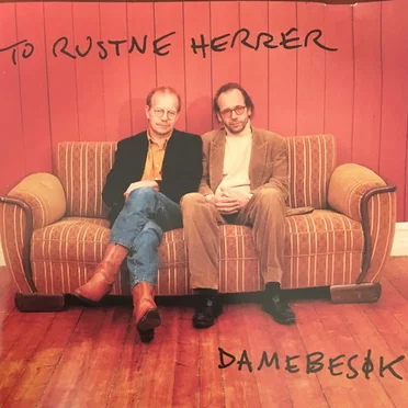 Damebesøk