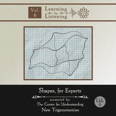 Shapes, for Experts by The Center for Understanding New Trigonometries - album cover