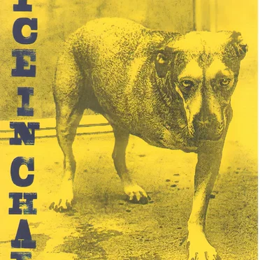 The Nona Tapes by Alice in Chains - album cover