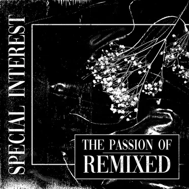 The Passion Of Remixed