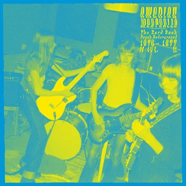 Swedish Meatballs The Hard Rock Psych Underground 1970 - 1977 Vol 2 by Various Artists - album cover